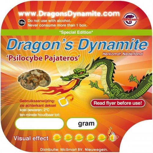 10055_dragon_sticker-500x500.jpg